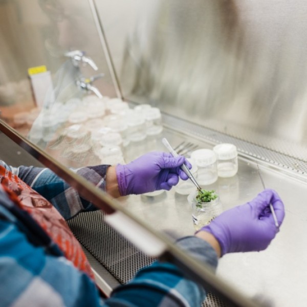 Student working in a lab