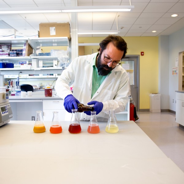 Sam Alcaine, assistant professor in the Department of Food Science