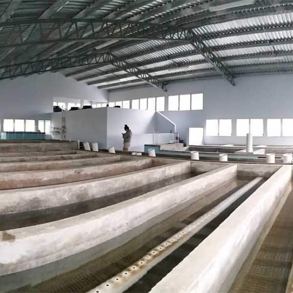 People visiting the AguaClara facility in Las Vegas, Honduras