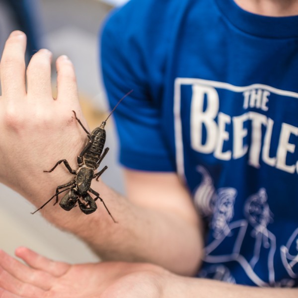 Student holding a scorpion