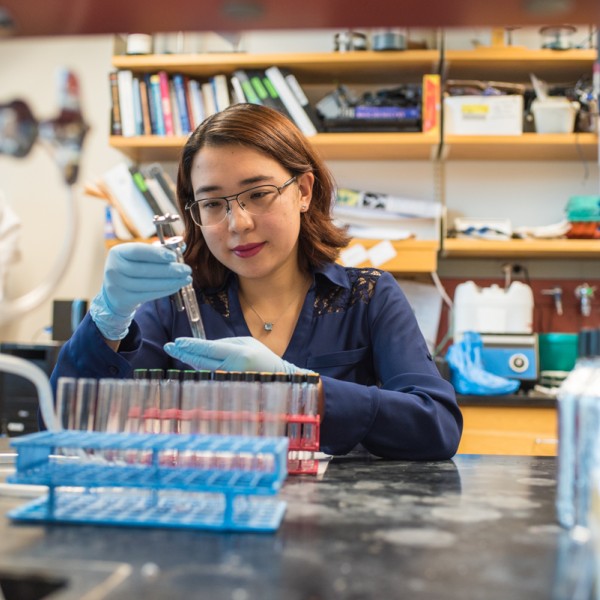 Researchers examining test tubes