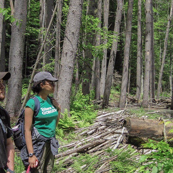 Students explore woods