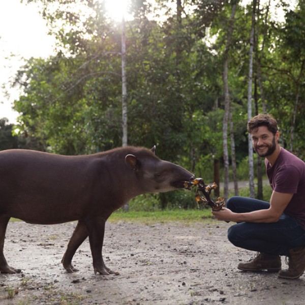 handsome bearded man feeds an animal