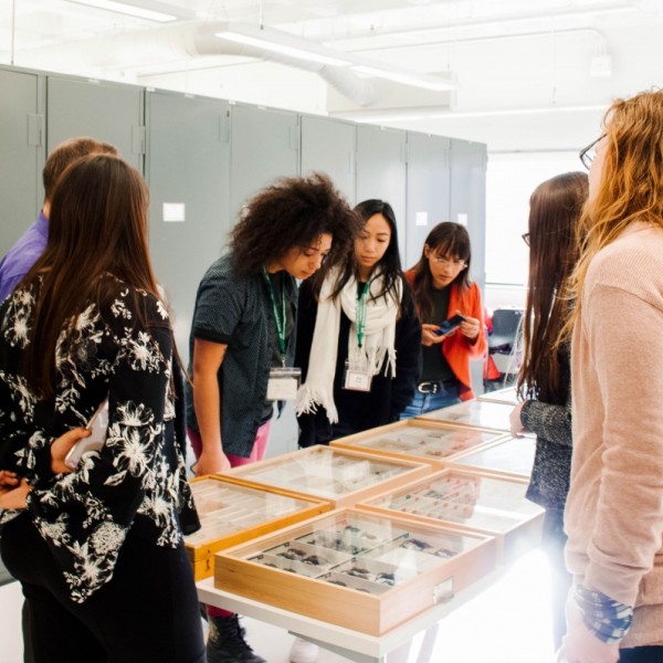 Diversity Preview Weekend attendees touring the entomology department's insect collection.