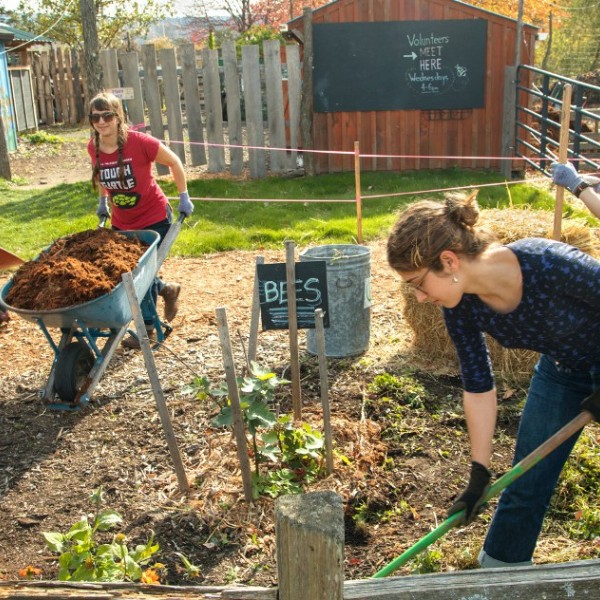 Students working in a garden