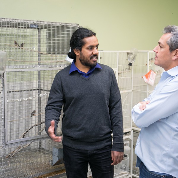 Vikram Gadagkar and Jesse Goldberg stand in a lab with several birds