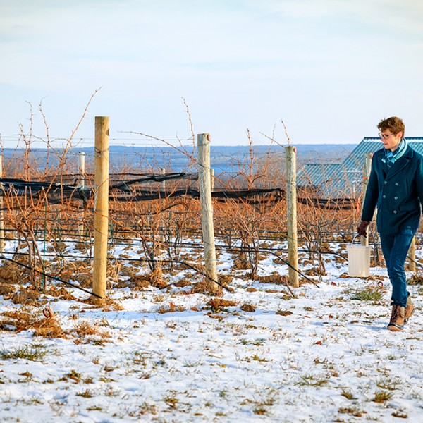 Al Kovaleski walking in wintery winery