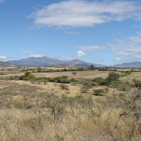 parched land with mountains in the background