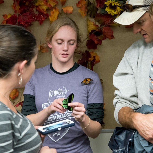 A student discusses a butterfly with onlookers