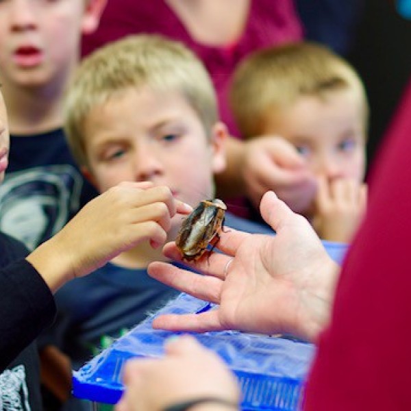 Children observe a cockroach held by a volunteer