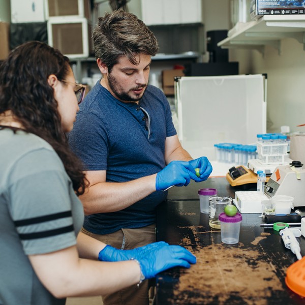 Students working in a lab