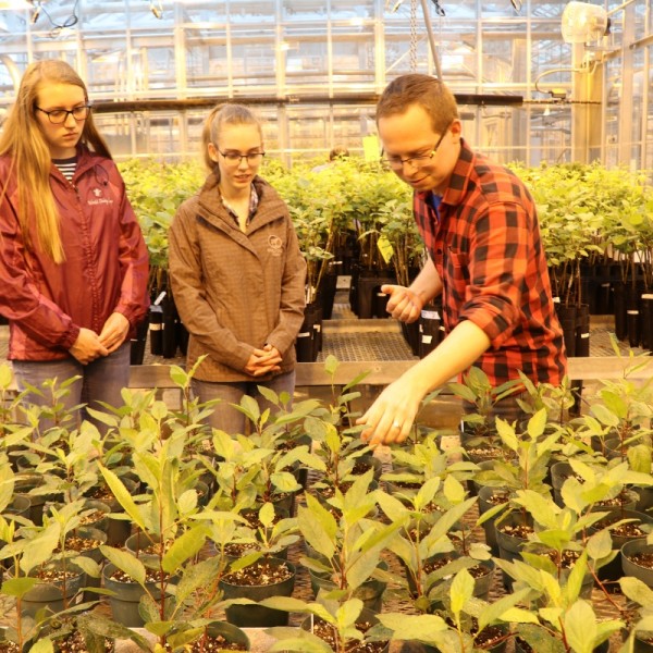 Students analyze plants in a greenhouse