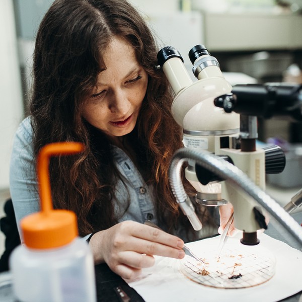 Samantha Willden seated at microscope