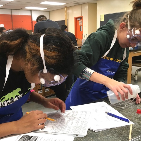 Students working with chemical materials