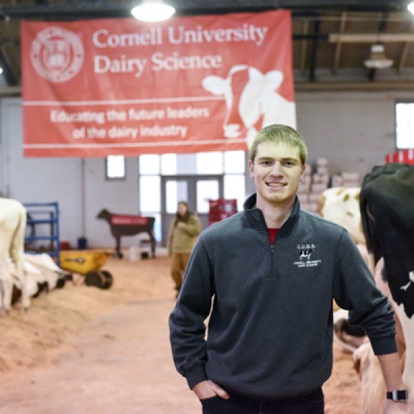 Conor McCabe stands in the Cornell University Dairy Barn