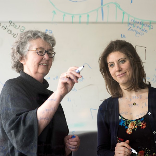 professors writing on clear wall