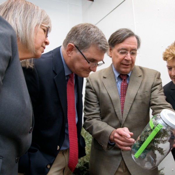 faculty and researchers look at a container with a tree in it