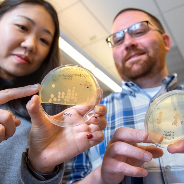 professor and student hold yeast strains in dishes