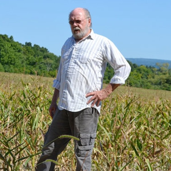Farmer Marvin Rood stands in corn and soybean fields impacted by drought