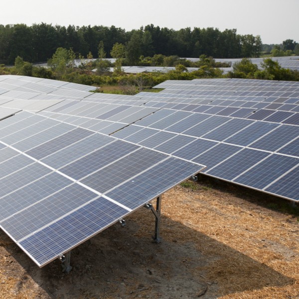 Two rows of black panels facing toward the sky