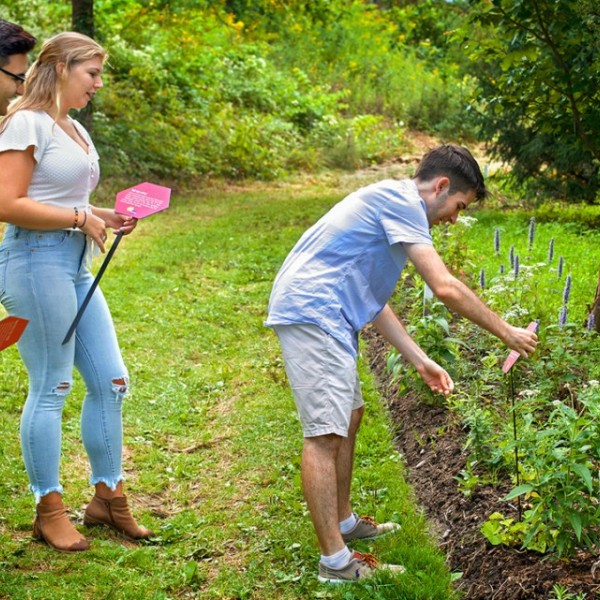 A male and female student look on as a male student sticks a sign into the ground in the middle of a grassy, green garden