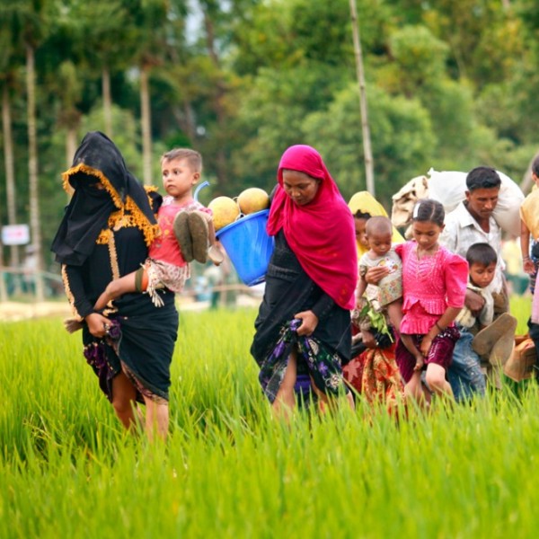 A line of women, men and children walking through tall grass. Some adults are holding children and others are holding baskets.