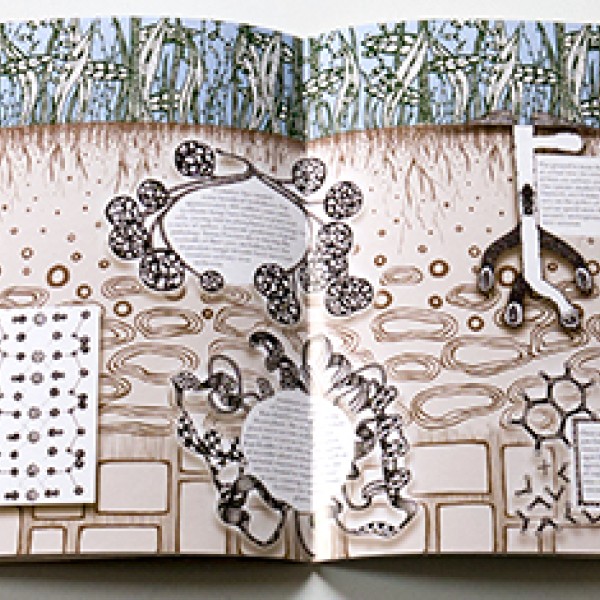 A graphic depicting all of the below images together on one page