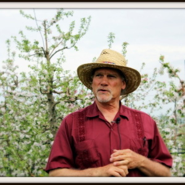 A man wears a straw hat and stands in an orchard