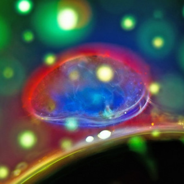 A photo of a brain lit-up with the colors red and blue