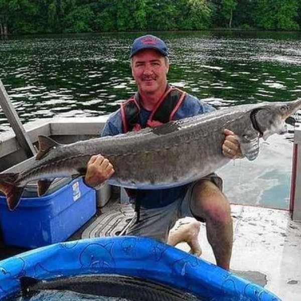 A man kneels on a boat on the water while holding a very large fish