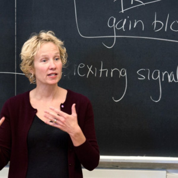 A woman stands in front of a chalkboard while teaching