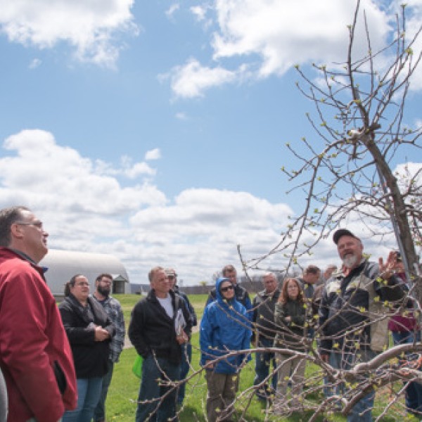 A group of people looking at a tree