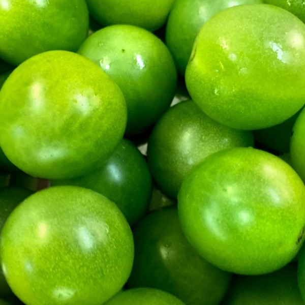 Green tomatoes 