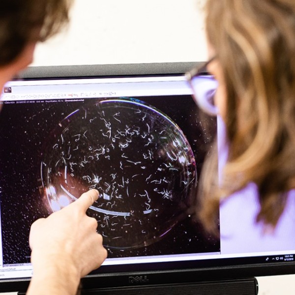 A man and woman looking at a computer screen