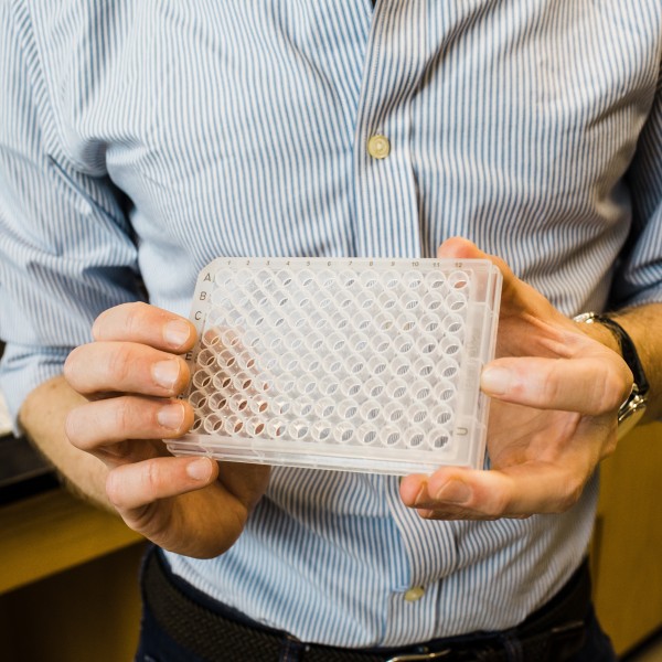 a close up of a plastic tray used to separate bacteria genes