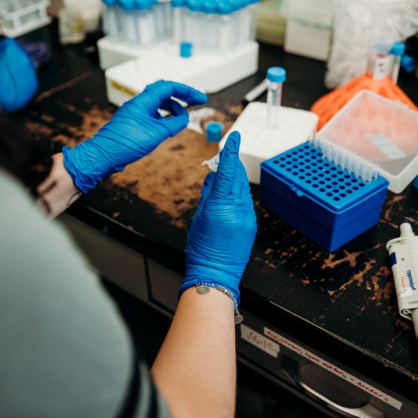 A person sitting at a lab bench conducting research