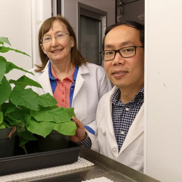 A man and woman standing next to green plants