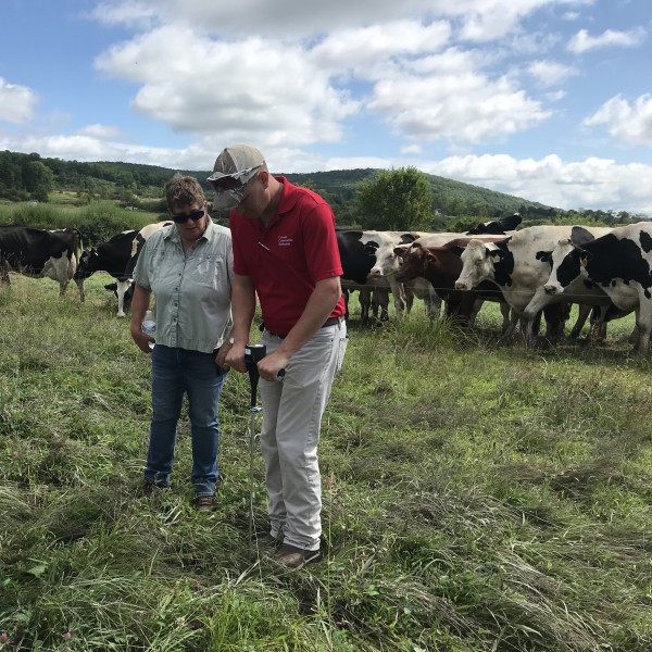 Josh using testing instrument in cattle field 