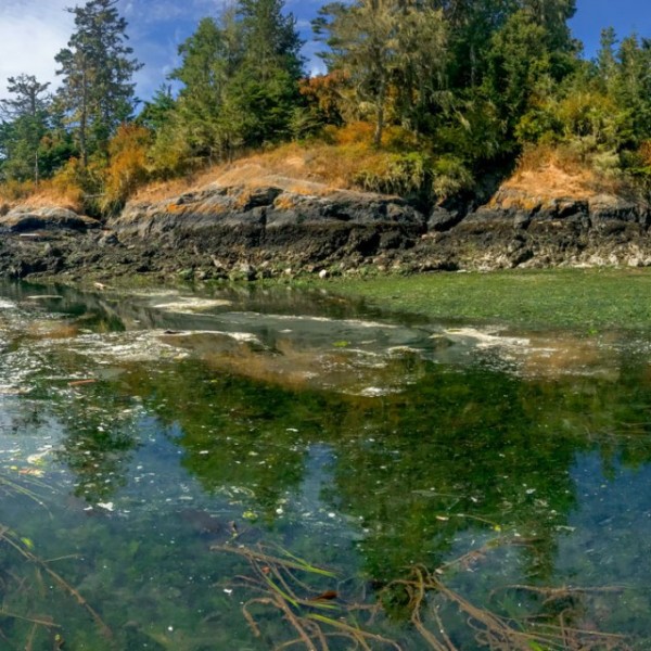 An inlet of water with an island behind it