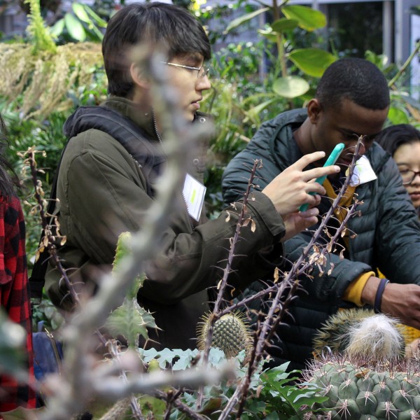 group of people looking at plants