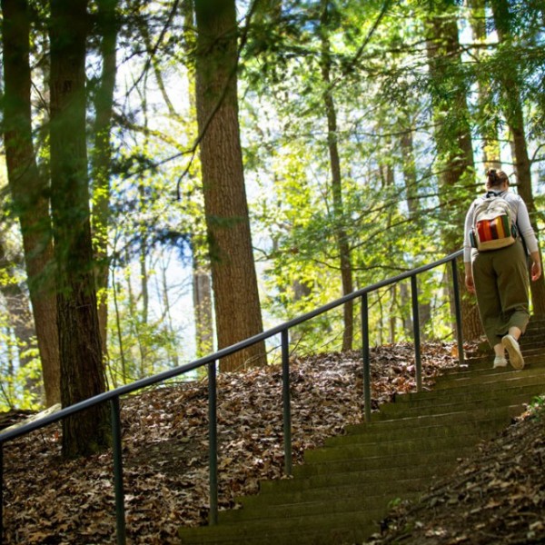 A student climbing stairs outside in the Cornell Botanic Gardens