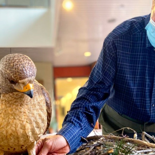 A man adjusting the placement of a band on a hawk carving