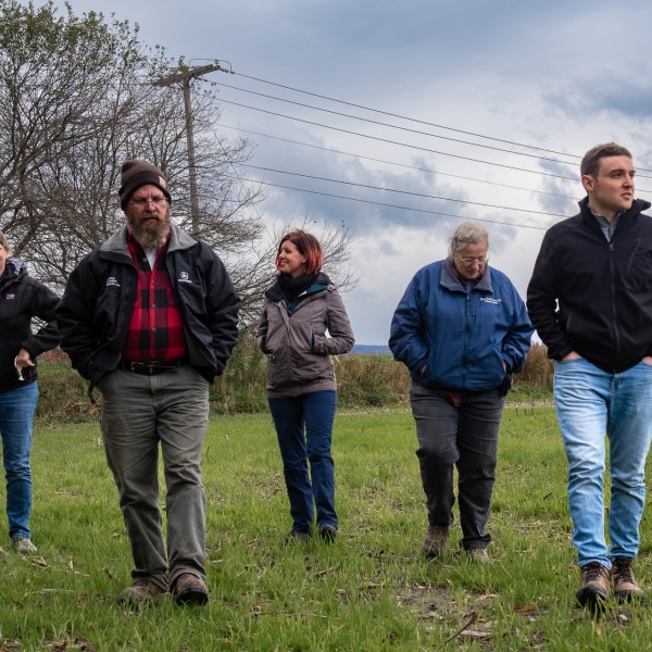 Quirine Ketterings, Olivia Godber, Agustin Olivo and the owners of Whey Street Dairy inspecting cover crops.