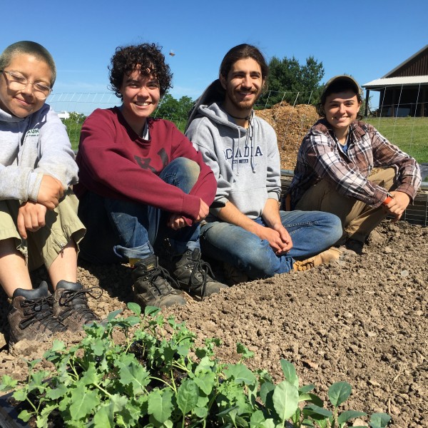 Four students sit while working at Dilmun Hill Farm
