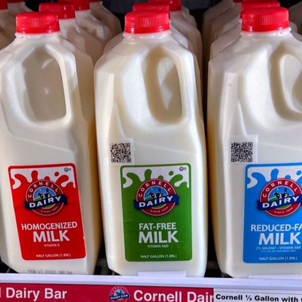 Milk from Cornell Dairy Bar in a cooler with QR codes on them