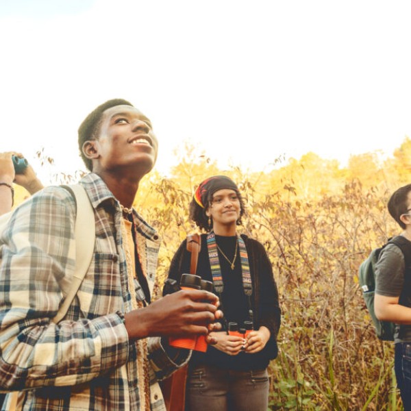 Four students look upwards surrounded by foliage. 