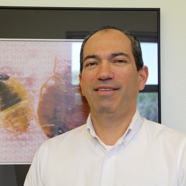 Dr. Romero standing in front of a photo of bed bugs. 