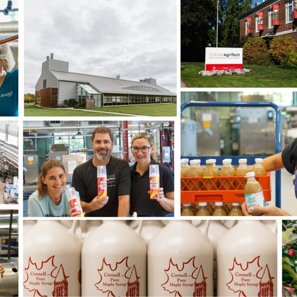 A collage of images showcasing the work of the Center of Excellence for Food and Agriculture.