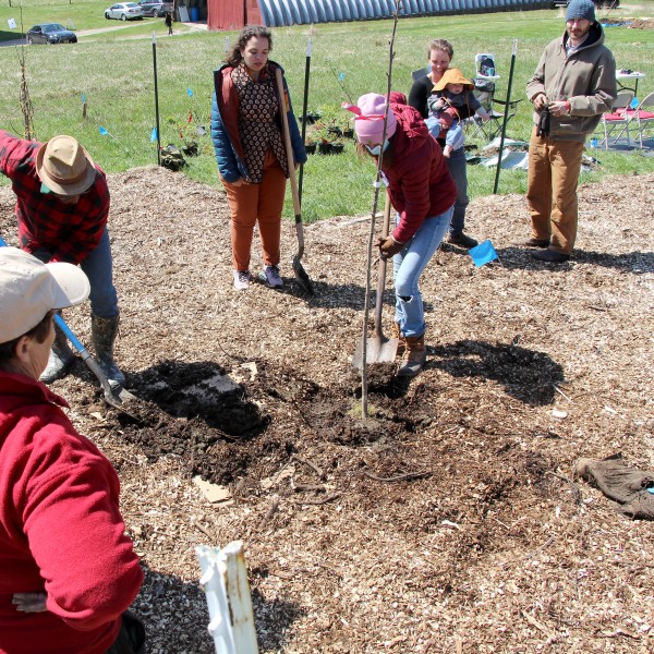group watching someone plant a tree