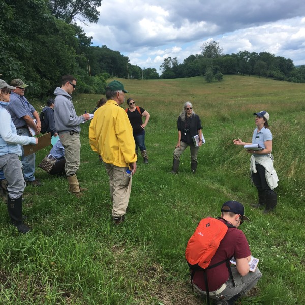 Group tours watershed site
